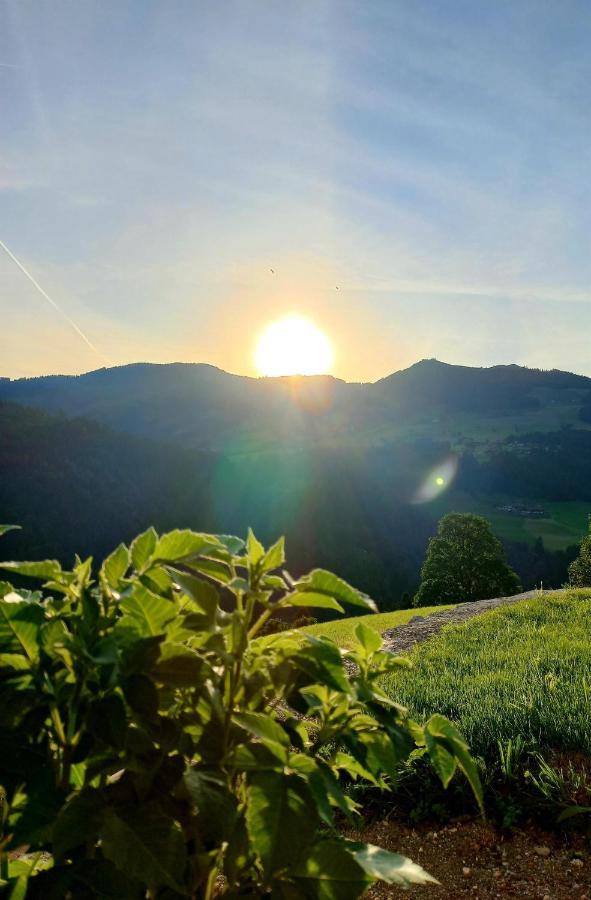 Bergappartement Kink Hopfgarten im Brixental Bagian luar foto