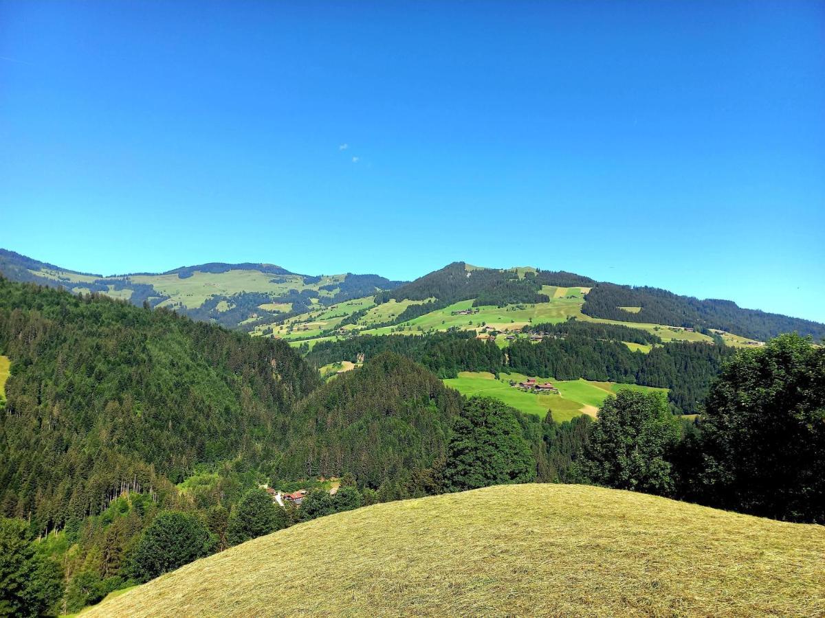 Bergappartement Kink Hopfgarten im Brixental Bagian luar foto