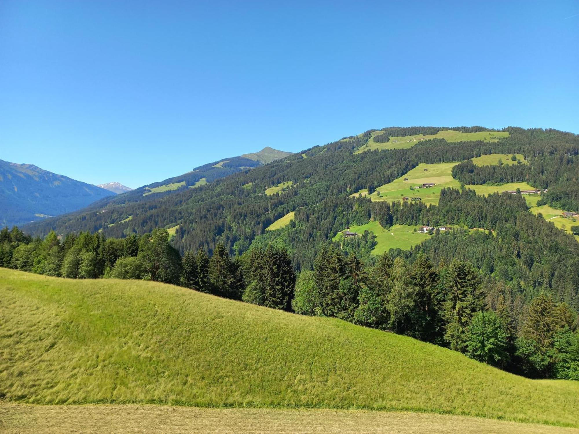 Bergappartement Kink Hopfgarten im Brixental Bagian luar foto